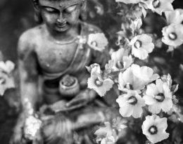 Benjamin balazs 328924 unsplash