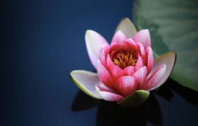 Tantramassage Neu Ulm Tantramassage Neu Ulm