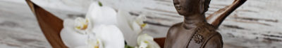 Orchidee Budha Fotolia