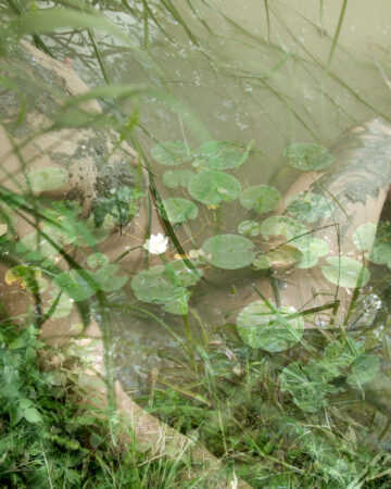 DSC 5622ent