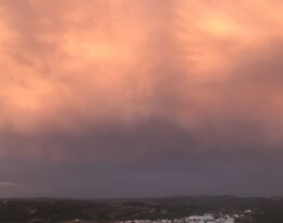IMG 0794 1