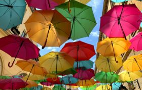 Colored umbrellas 3099