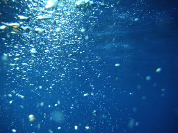 Bubbles