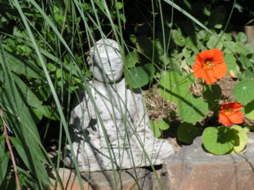 Kopie Von Budda3