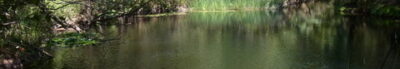 RIMG0079